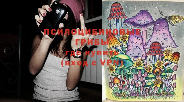 дмт Алзамай