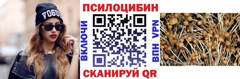 Галлюциногенные грибы Magic Shrooms  где купить наркоту  Нарьян-Мар 