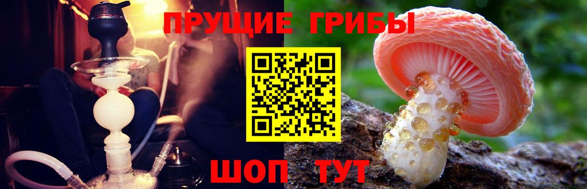Галлюциногенные грибы прущие грибы  Вход с VPN  Нарьян-Мар 